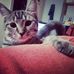 Lola Wilhelm - Facebook