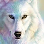Lola Wolf Angel Fox Alpha - @lolawolfangelfoxalpha - Instagram