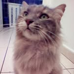 Lola wolfer - @lola.wolfer - Instagram