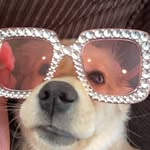 Lola - @lolasouthworth - Instagram
