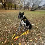 Lola Pearl in Ft Worth, TX - @lola_pearl_ftw_atx - Instagram