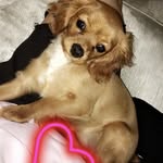 •Lola Worth• - @lola_sandy_worth - Instagram
