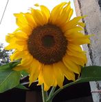 Lola Zamora - Facebook