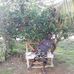 Loleta Brooks - Facebook