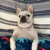 💖lola(the vloger) - @lolathevloger08 - TikTok
