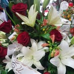 Loliluna_11 - @loliluna_11 - Instagram
