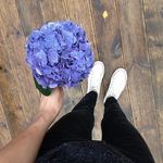 @lolita_ayers159 - Instagram