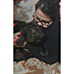 LOLI 🐶👑 - @lolitasharpei - Instagram