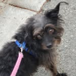 Lolly Smith - @lolly.smith.boo.kitty - Instagram