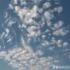 nelsonlolok7 - @nelsonlolo4 - TikTok