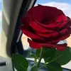 loly lopez - @loly.lopez - TikTok