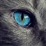 Lome Adam - @elhamadam2 - Instagram