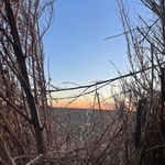 Lon Adams - @londo65 - Instagram