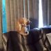 Lonnie Baker - Facebook