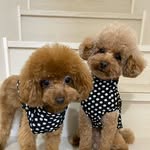 Bell♡♡Riri♡♡Ｌon - @bellririgrmwithlon - Instagram