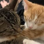 Ming Ming + Long Long - @minglong_daily - Instagram