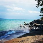 Lonnie Lewis - @lonlee123 - Instagram