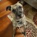 Lon Miller - Facebook