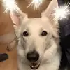 yukilonschmidt - @yukilonschmidt - TikTok