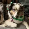 user663734146814 Tin - @longthompson - TikTok