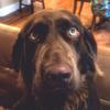 lonwilson6289 - @lonwilson6289 - TikTok