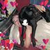 Lona Webb - Facebook