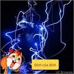 Long Bui - @kunobui - Instagram