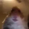 Long Bui - @longbui00 - TikTok