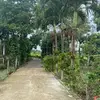 Long Bui - @long.bui19 - TikTok