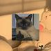 Long Bui - Facebook