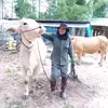 LongDo - @_longdo_ - TikTok