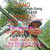 Long Hàng Tạp Hà Gia - @longhangtaphagiang - TikTok