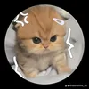 Long Ho - @long.ho995 - TikTok
