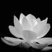 Long Phan - Facebook