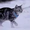 LongVu - @longvu.35 - TikTok