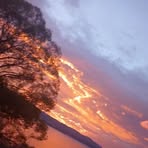 Layni Chambers - Facebook