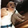 Lonna_johnson80 - @lonna_johnson80 - TikTok