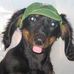 Lonnie Armstrong - Facebook
