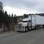 Lonnie Bird - @birdlonnie - Instagram