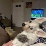 Lonnie Stuart Carpenter - Facebook