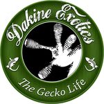 Lonnie Cornell - @dakineexotics - Instagram