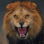 Lonnie Ashcraft - @ashcraftlonnie - Instagram