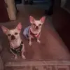 Lonnie Davidson - @lonnie.davidson12 - TikTok