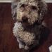 Lonnie Dodd - Facebook