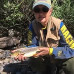 Lonnie Newton Driggers - @lonnienewtondriggers - Instagram
