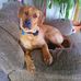Lonnie Farley - Facebook