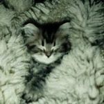 Lonnie Ford - @lonnie123ford - Instagram