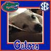 lonniefranksmith - @lonnie_howboutdemgators - TikTok