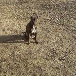 Lonnie Gee - @geelonnie - Instagram