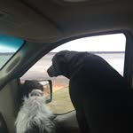 Lonnie Hoffman - @lonnie.hoffman - Instagram